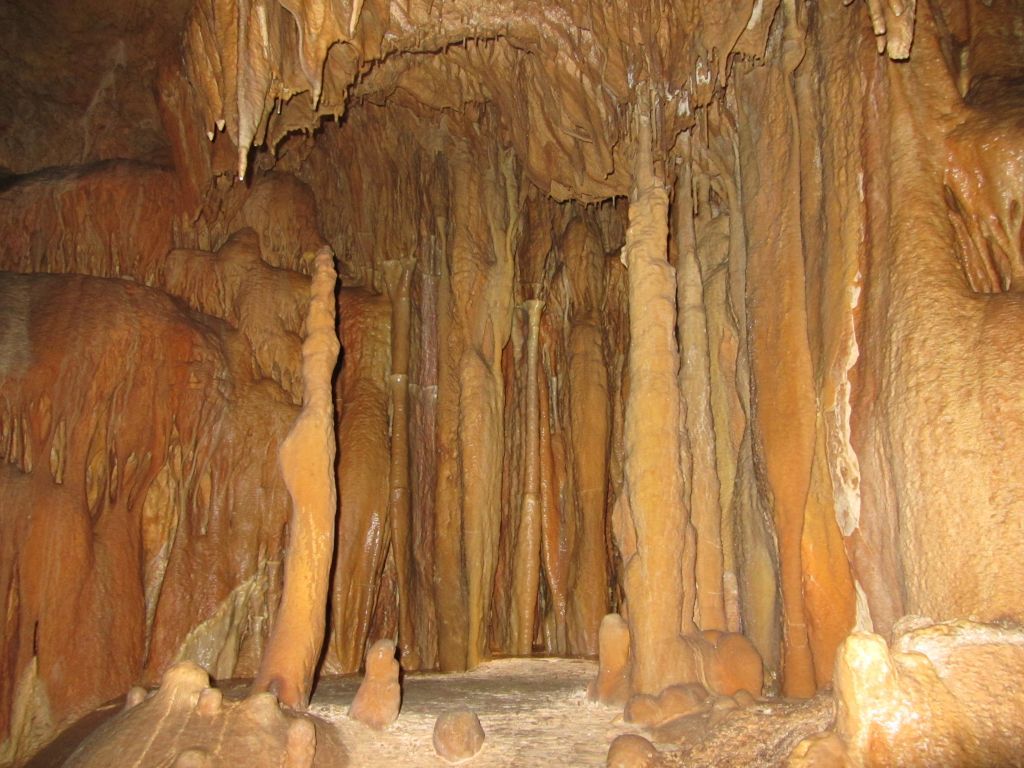 IMG_4239 - копия.jpg